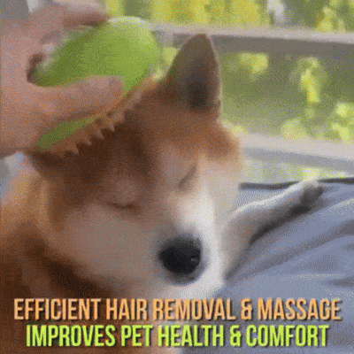 The Perfect Steamy Pet Brush