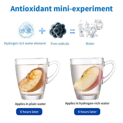 The Perfect Hydrogen Water Generator 2024